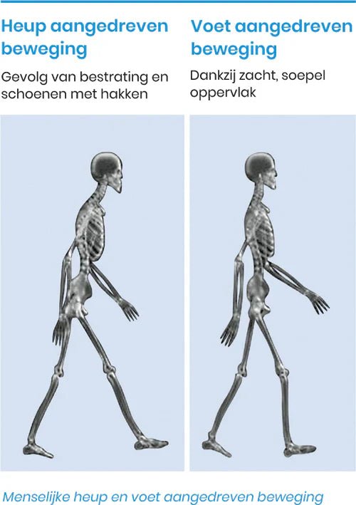 De natuurlijke juiste tred en houding - Stapvitaal